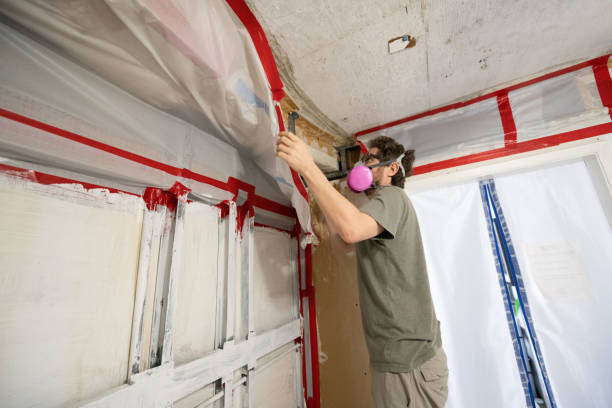 Trusted Germantown, OH Mold Inspection, Removal & Remediation Experts